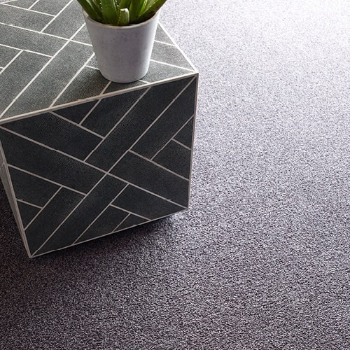 Shaw carpet | Neils Floor Covering