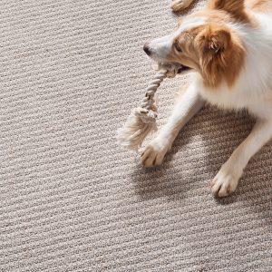 Pet friendly floor | Neils Floor Covering