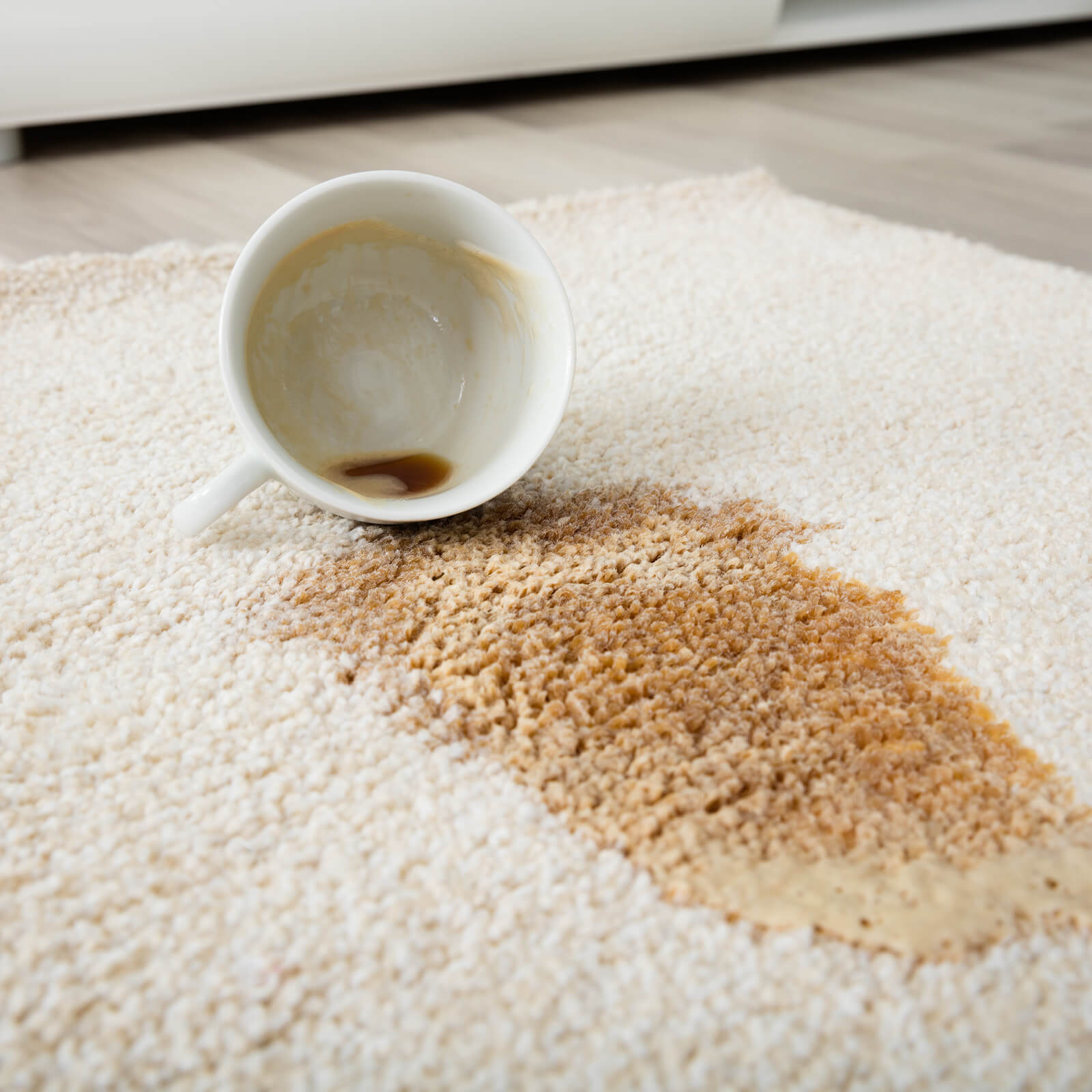 Coffee spill on area rug | Neils Floor Covering